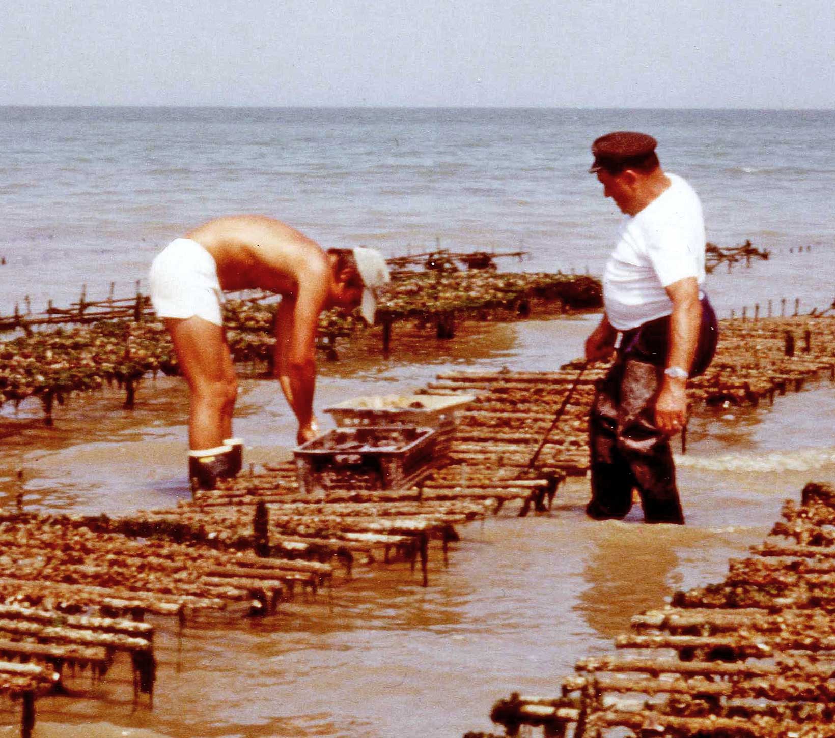 Ostréiculteurs sur l'île de Ré | thierry et jeannot