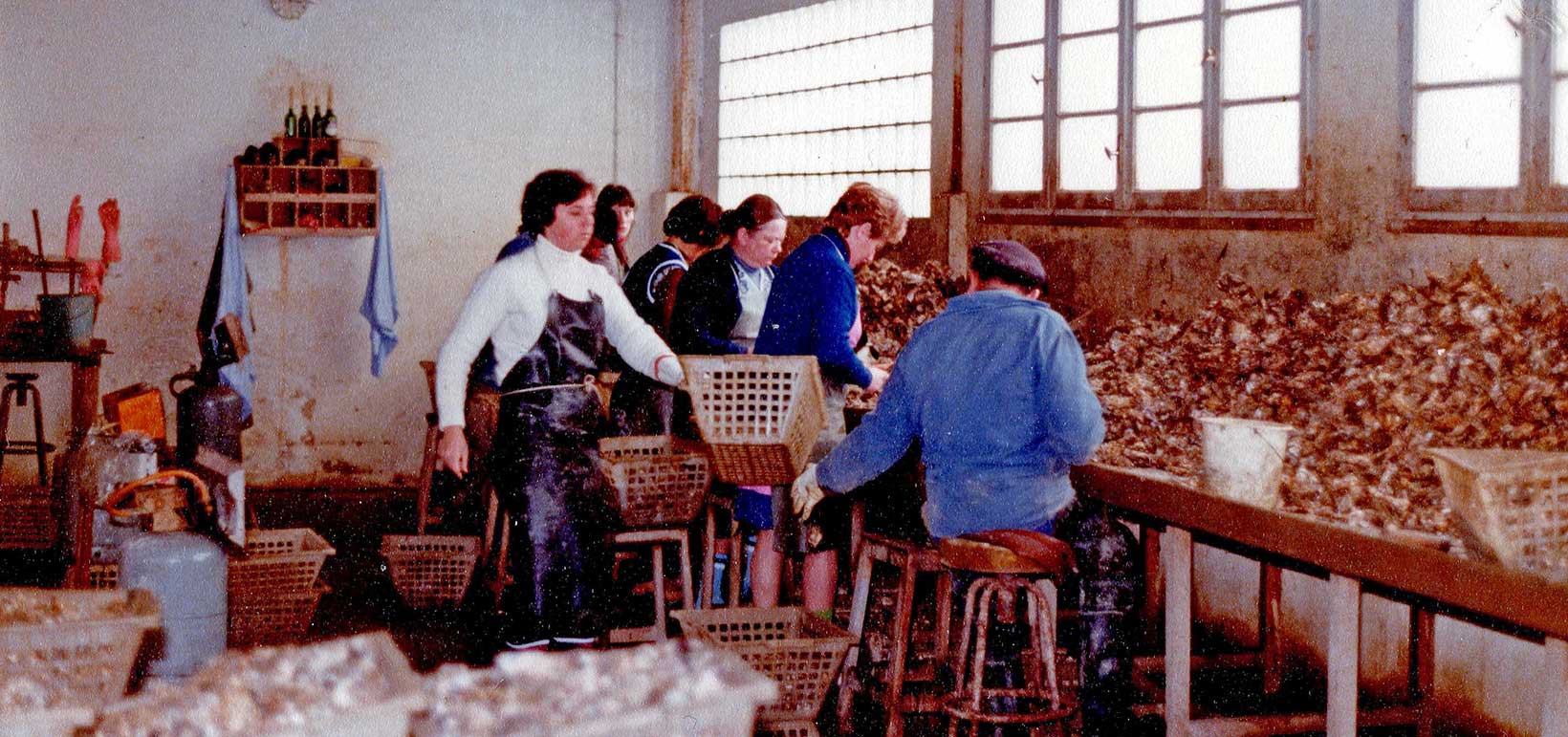 Ostréiculteurs sur l'île de Ré | travail à la cabane.jpg