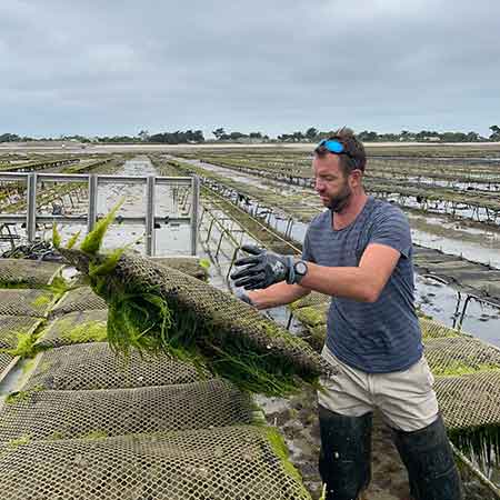 Huîtres et ma Ré | producteur et vente d'huîtres de l'île de Ré